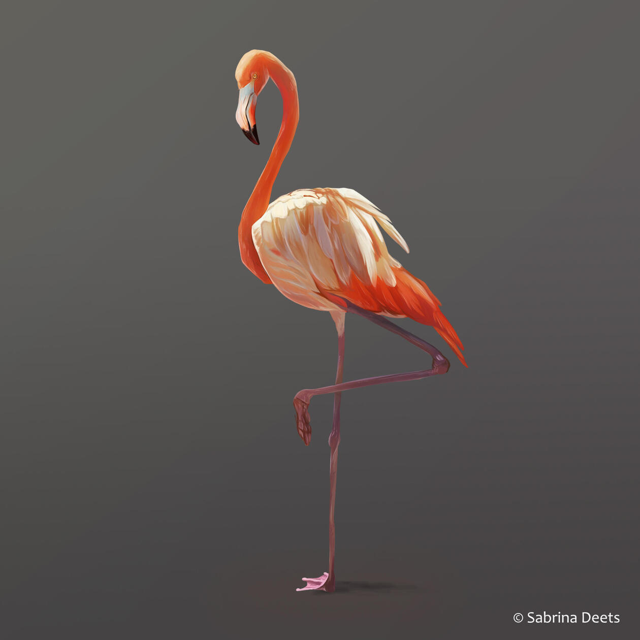 A painting of an orange flamingo with one leg up. Standing in a grey empty background.