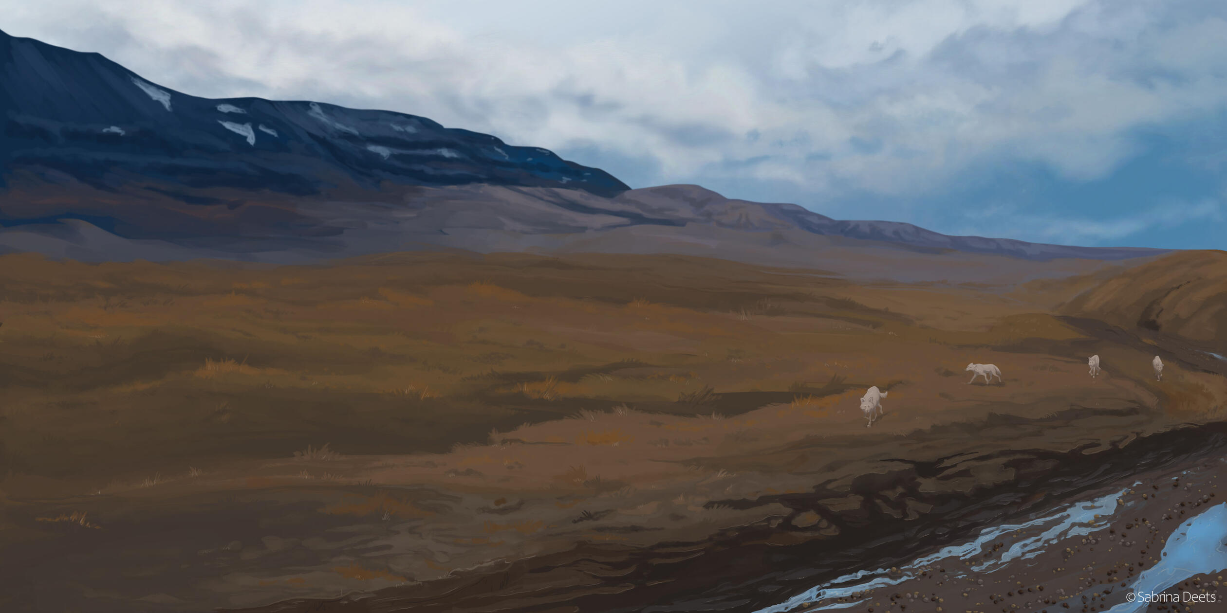 Four arctic wolves running from left to right in a brown tundra. A almost dried up river and moutains are in view.