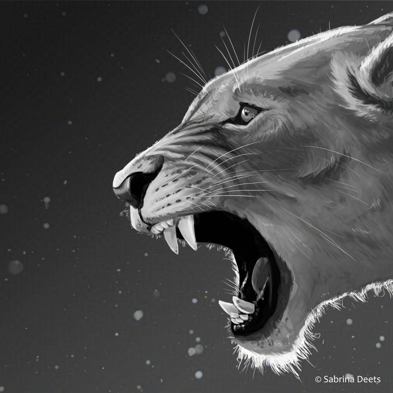 Black and white close up painting of a linoess roaring