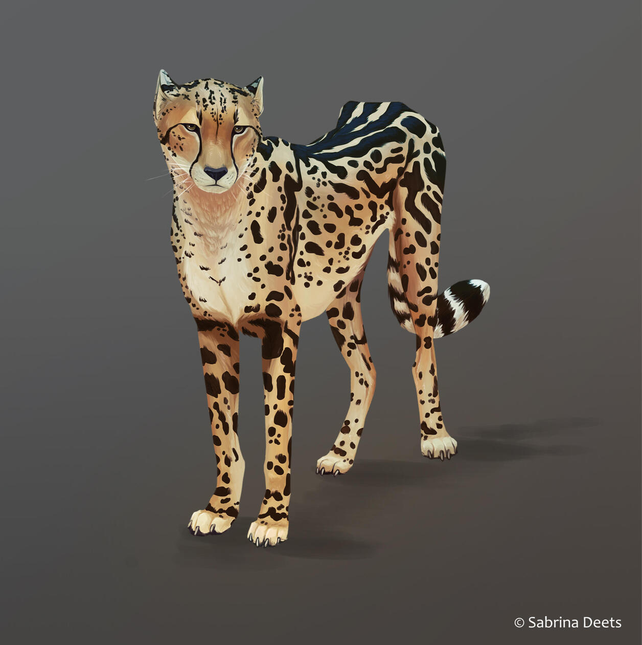 A painting of an cheetah standing in an empty grey background