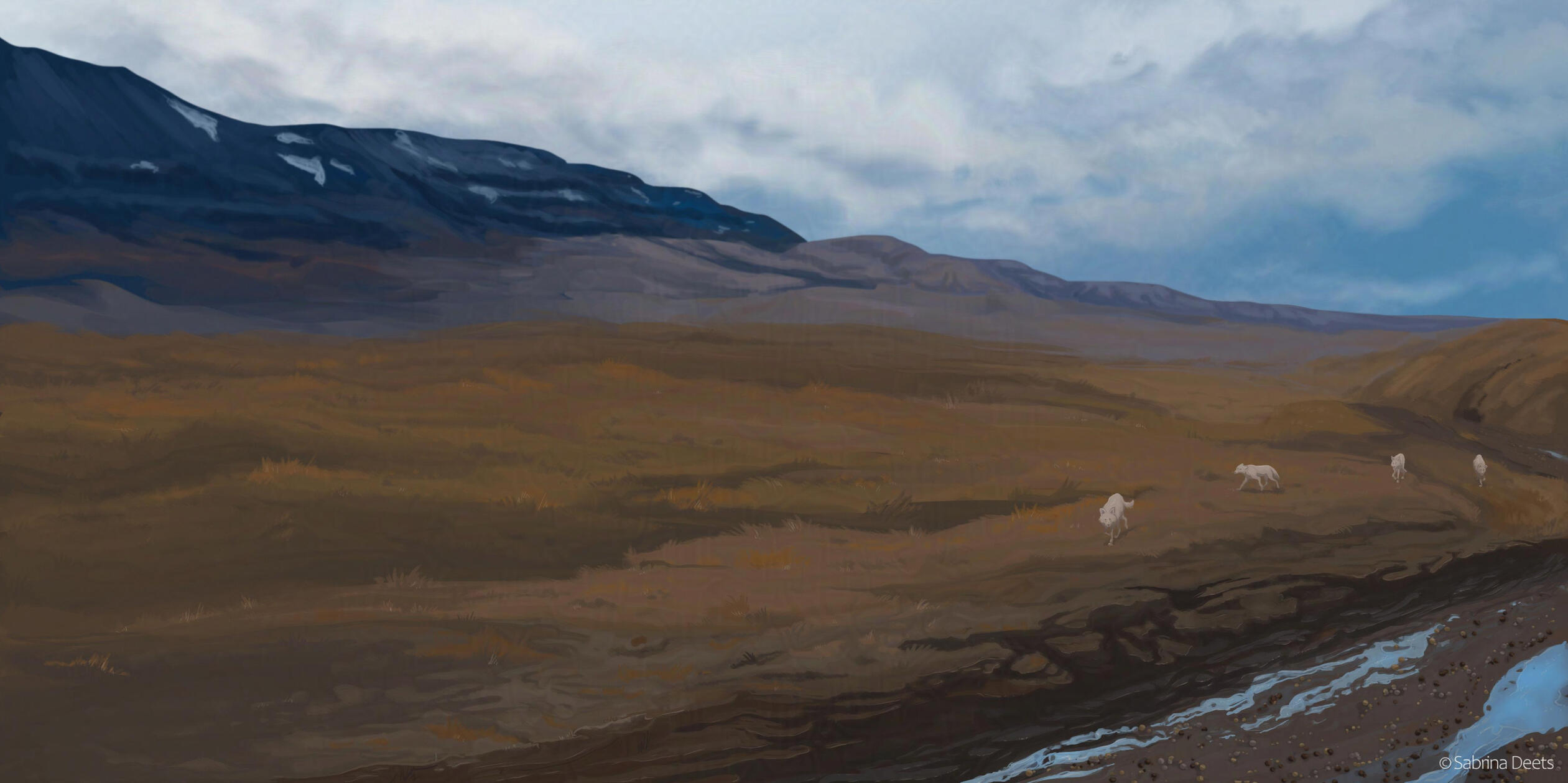 Four arctic wolves running from left to right in a brown tundra. A almost dried up river and moutains are in view.
