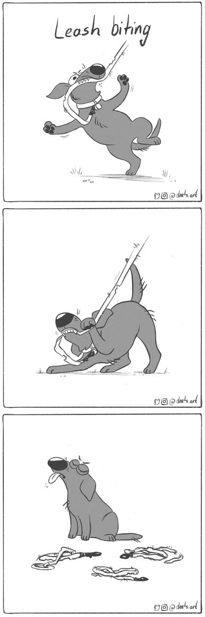 Leash biting Funny comic about Fug the dog biting through all his leashes