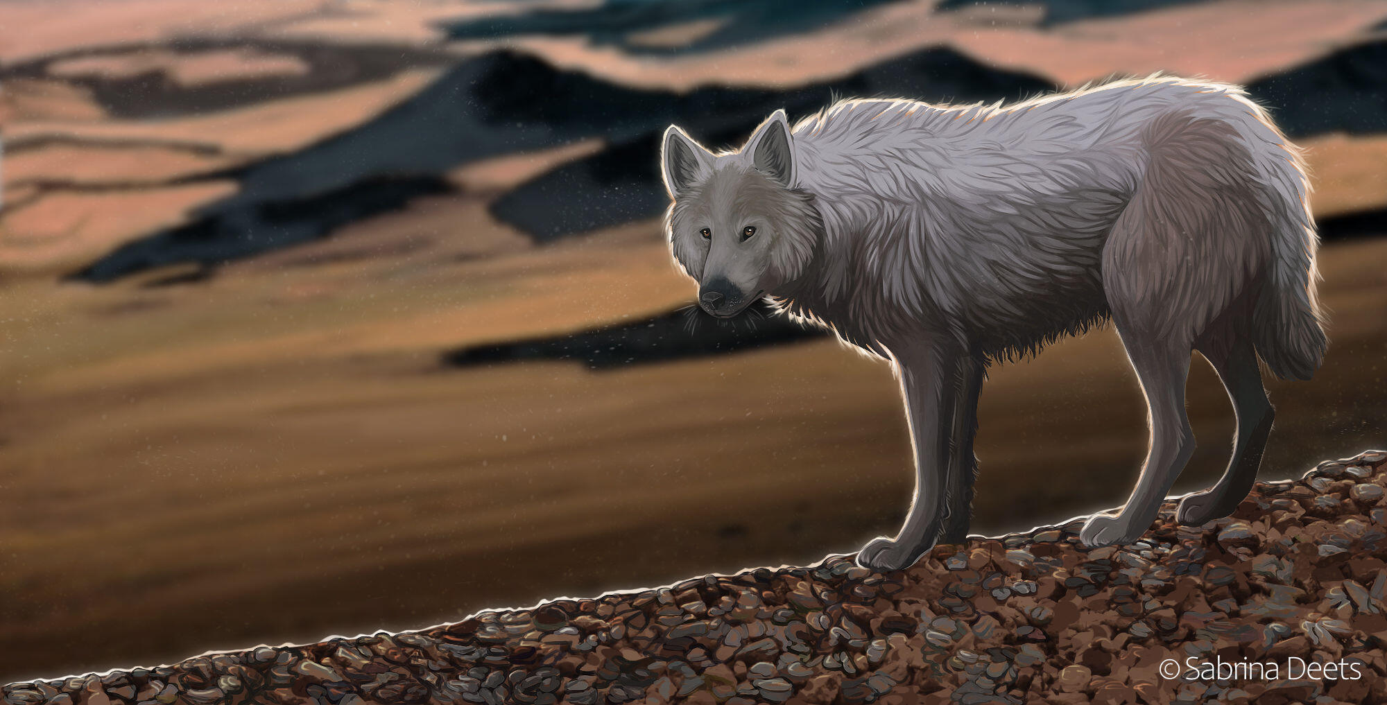 Full body close up of an arctic wolf. His white brown fur shimmers white on the edges where the sun hits it. In the background are mountains and a brown plain.