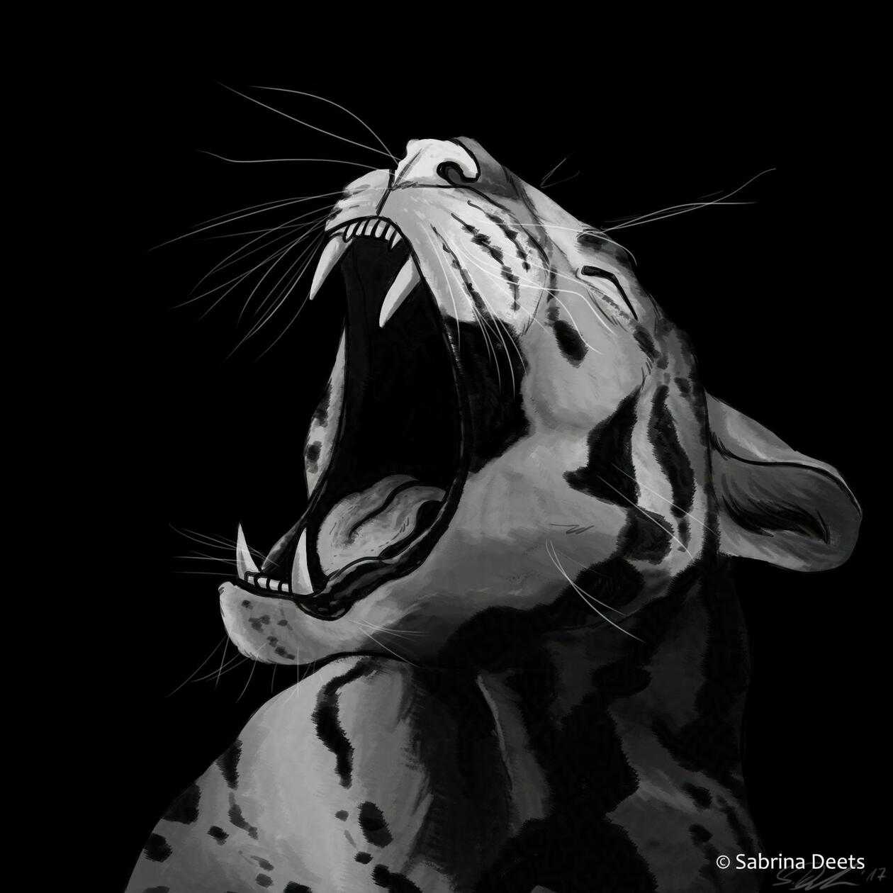 Leopard Black and white close up painting of a leopard roaring