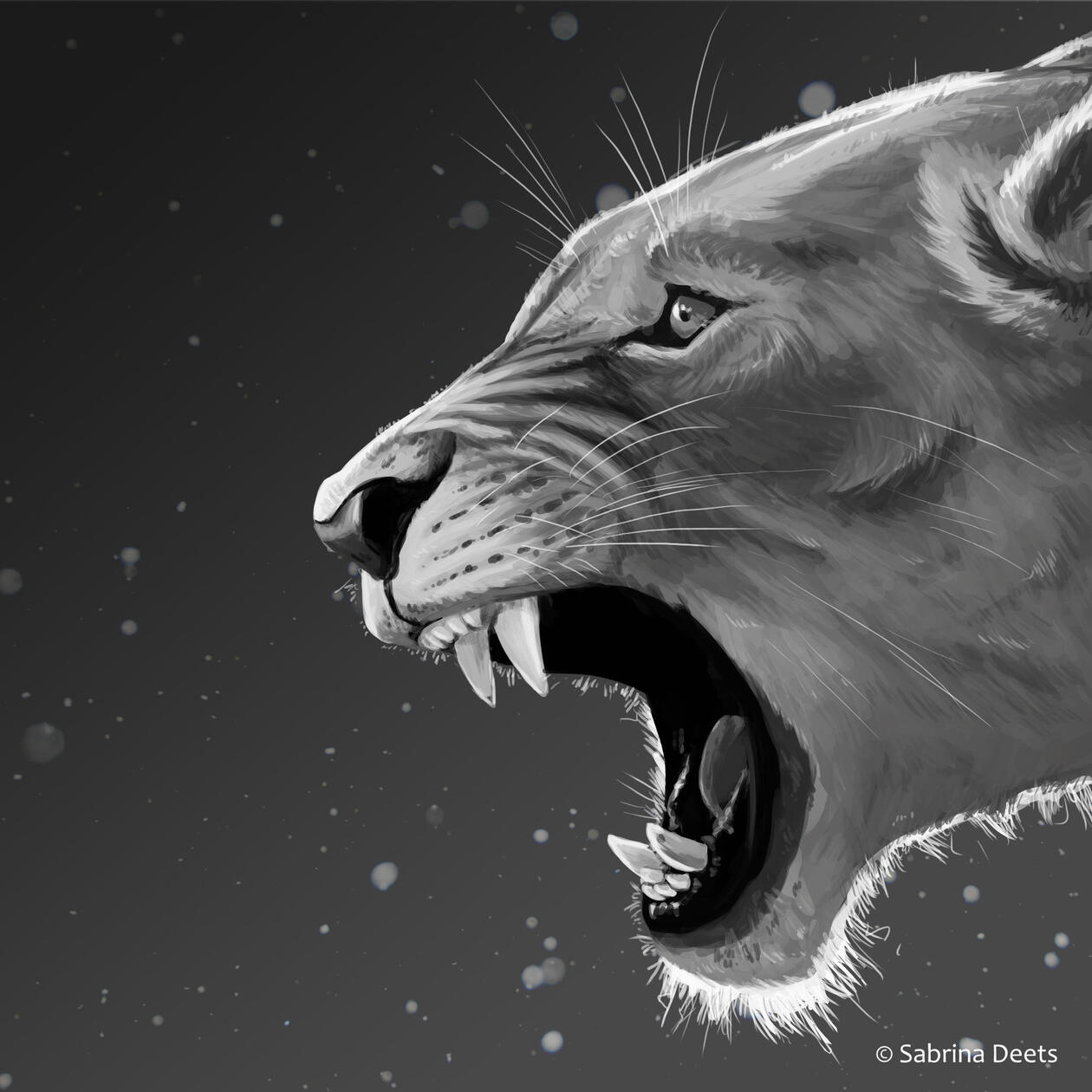 Black and white close up painting of a linoess roaring